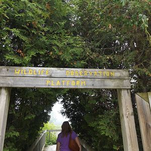 Wildlife Observation Platform Sign/ Entrance