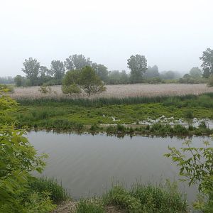 View from the Wildlife Observation Platform