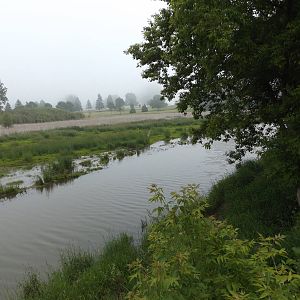 View from the Wildlife Observation Platform