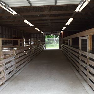 Big Red Barn Interior