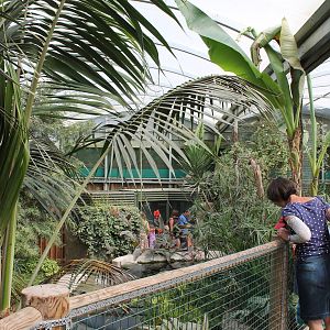 View of Amazon House