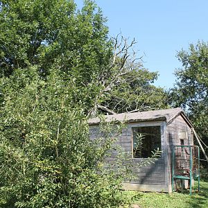 Squirrel Monkey/Marmoset Island