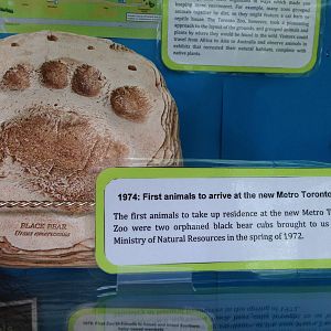 40th Anniversary Display