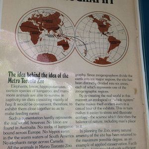 40th Anniversary Display