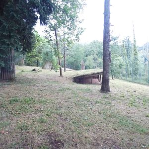 Sumatran Tiger Exhibit