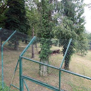 Sumatran Tiger Exhibit