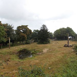 African Elephant Exhibit