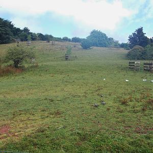 Ostrich and Zebra Exhibit