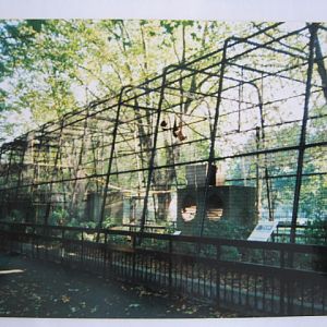 Gibbon Cage 6th October 1999.