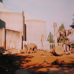 Elephant/Rhino Pavilion 1999.