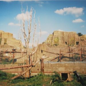 Mappins as Bear Mountain 1999.
