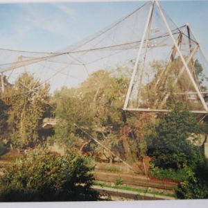 The Snowdon Aviary 6/10/99.