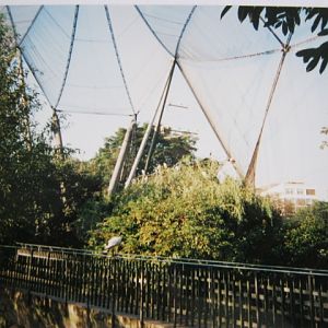 Snowdon showing famous cantilevered bridge.1999.