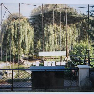 The Southern Aviary 6/10/99.