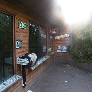 gibbon and hornbill house viewing