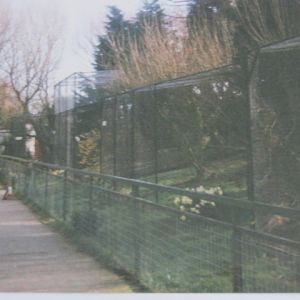 Carnivore cages. March 1994.