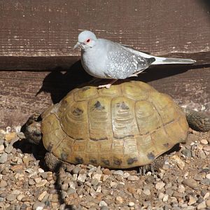 A thumb goes up, a car goes by; it's nearly one a.m. and here am I.....9th