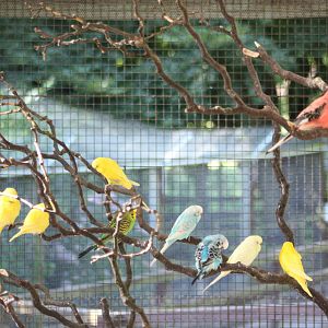 A blaze of colour, 9th August 2014