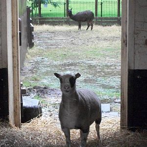 A little damp behind the stall, 10th August 2014