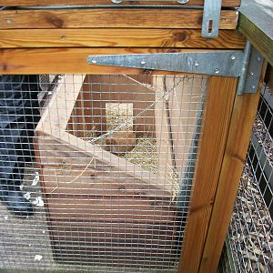 Inside one of the Guinea Pig huts, 10th August 2014