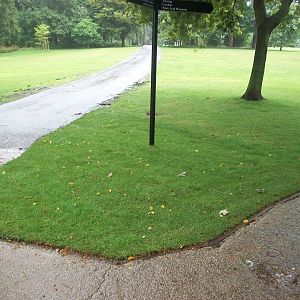 New turf near zoo skip, 10th August 2014