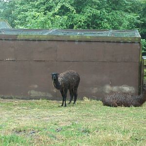 Why not use the stall? 6.52 p.m., 10th August 2014