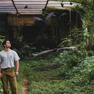 Durrell's new Ambassador, Henry Cavill