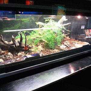 Vivarium at Terra Natura, 03/08/14