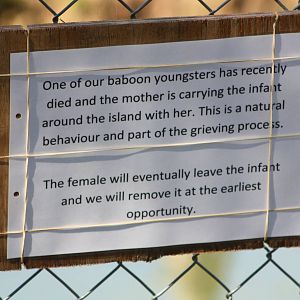 Signage, 4th August 2014