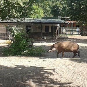 South american enclosure