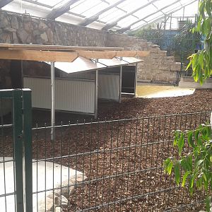 Indoor tapir enclosure