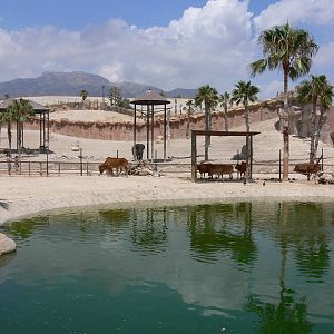 'Asia' section at Terra Natura, 03/08/14