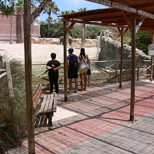 Elephant Viewing at Terra Natura, 03/08/14