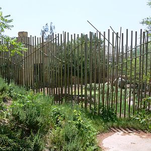 Lion Exhibit at Terra Natura, 03/08/14