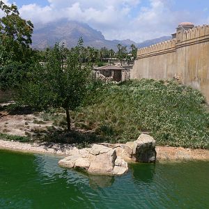 Tiger Island at Terra Natura, 03/08/14
