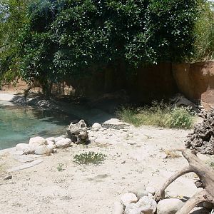 Crocodile Enclosure at Terra Natura, 03/08/14