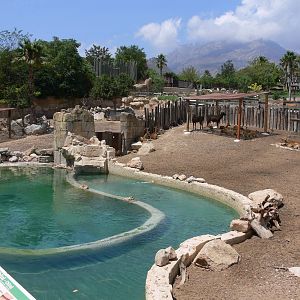 'Asia' section at Terra Natura, 03/08/14