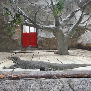 Water monitor