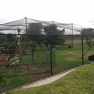 Large aviary