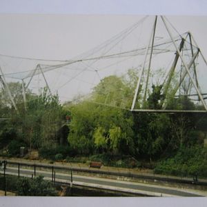 Snowdon Aviary 23/4/95.