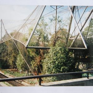 Snowdon Aviary 6/10/99.