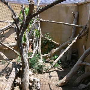 Ocelot enclosure at Terra Natura, 03/08/14