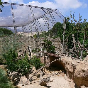 Capuchin Exhibit at Terra Natura, 03/08/14