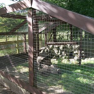 Raccoon Dog Ridge, 13th August 2014