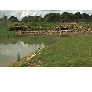 Polar bear enclosure