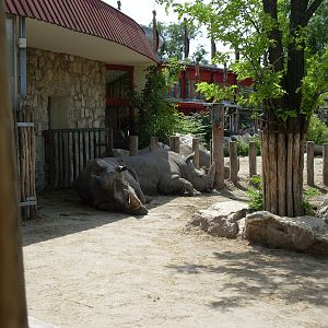 Bp. 2014. may. rhino relax