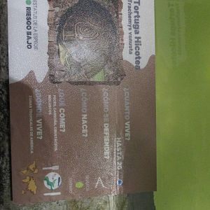 signage acuario inbursa