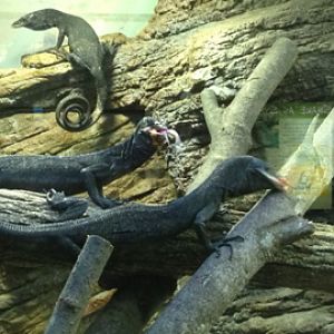 8/11/2014 - Lunch Time!