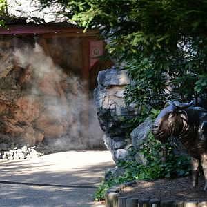 Entrance to Subarctic forest section