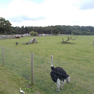 African Plains - 15.08.2014